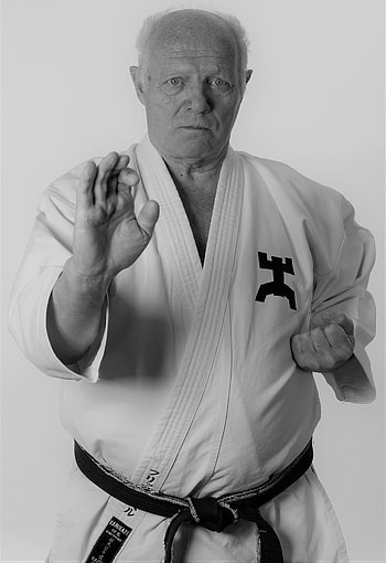 Fritz Nopel, Karate HD phone wallpaper