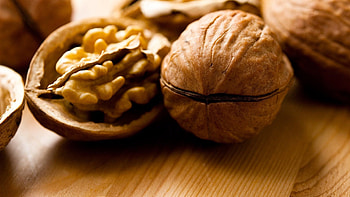 Walnuts, Nutritious superfood, Health benefits, Culinary ingredient HD wallpaper