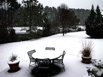 back yard, back, yard HD wallpaper