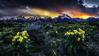 Grand Teton NP, Wyoming, blossoms, trees, colors, clouds, landscape, sky, mountains, sunset, usa HD wallpaper