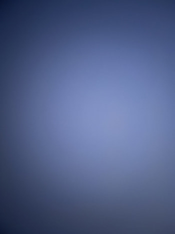 Blueberry, sky, berry, blue HD phone wallpaper