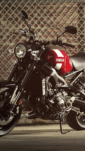 Yamaha XSR900, 2018 edition HD phone wallpaper