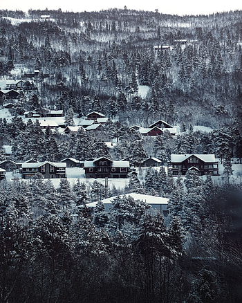 Landscape, Winter, Nature, Houses, Trees, Snow Covered, Snowbound HD phone wallpaper
