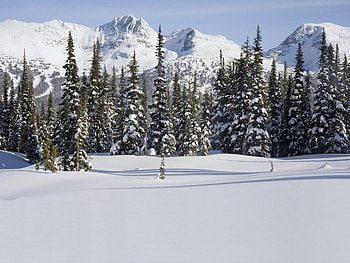 Spearhead Range, Whistler, British Columbia, Canada, trees, sky, snow, mountain HD wallpaper