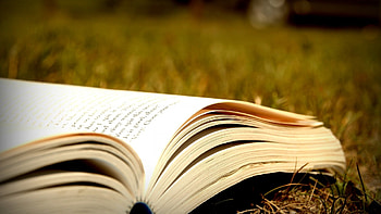 Book , Reading inspiration, Literary magic, Bookshelf treasure HD wallpaper