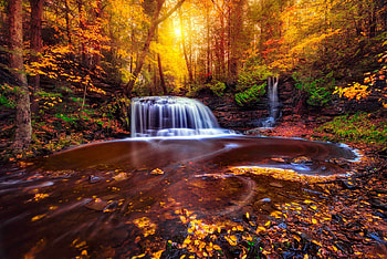 Waterfall in fall forest, colorful, creek, fall, beautiful, waterfall, trees, autumn, forest, foliage, stream HD wallpaper