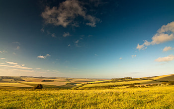 Landscape, Fields HD wallpaper