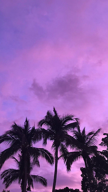 Purple Aesthetic, Purple Nature Aesthetic, Aesthetic HD phone wallpaper