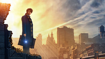 David Yates, Behind the scenes, Fantastic Beasts, Special effects HD wallpaper