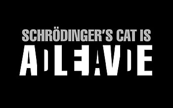 Schrodinger's Cat, cat, schrodinger, dead, alive HD wallpaper