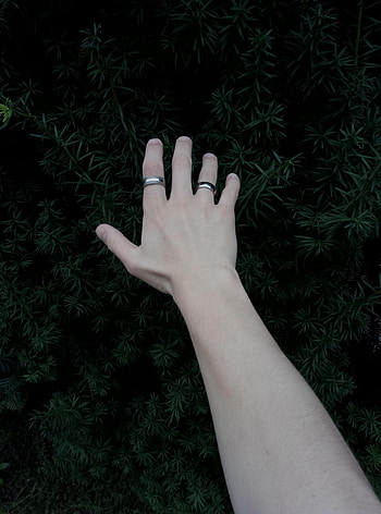 Rings, Plant, Hand, Miscellanea, Miscellaneous HD phone wallpaper