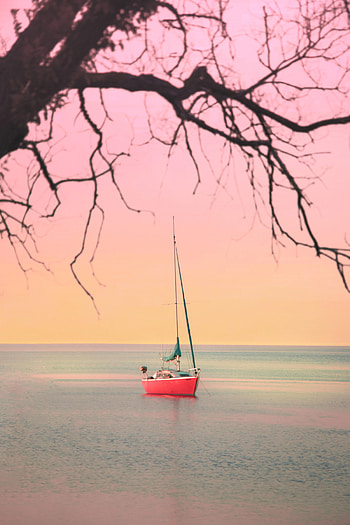 Sea, Horizon, Miscellanea, Miscellaneous, Branches, Boat, Sailboat, Sailfish HD phone wallpaper
