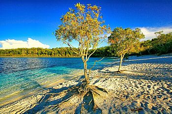Rivers lakes Dennis, Harding, Travels, Fraser Island HD wallpaper