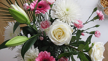 Beautiful Bouquet, asters, bouquet, roses, nature, flowers, gerbera HD wallpaper