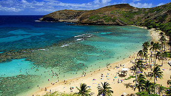 Hawaii . HD wallpaper