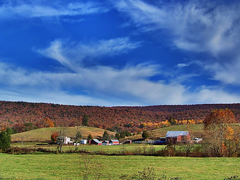 Autumn on the Farm, trees, autumn, sky, land HD wallpaper