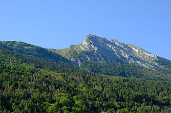 Landscape, Nature, Trees, Mountain, Forest HD wallpaper