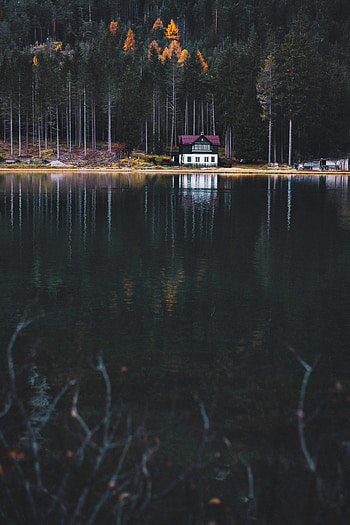 Nature, Lake, Shore, Bank, Forest, House HD phone wallpaper