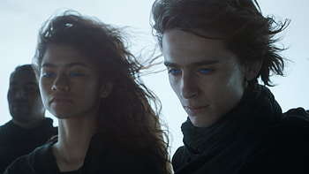 Chani, Dune movie, Sequel confirmation and details HD wallpaper