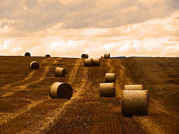 Nature, Sky, Clouds, Slope, Bales HD wallpaper