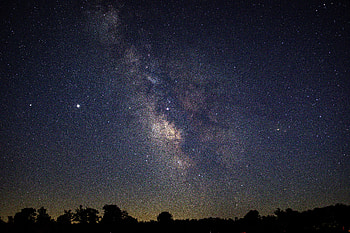 Nature, Trees, Stars, Night, Nebula HD wallpaper