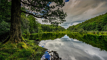 Lake Surrounded By Green Trees Forest Bushes Under White Clouds Blue Sky Reflection On Water Nature HD wallpaper