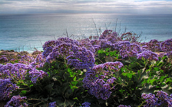 Del Mar sea, sea, mar, del HD wallpaper