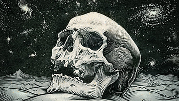 Skeleton For | | Pinterest | Skeletons, and HD wallpaper