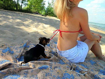 Puppy training by Jerry, dog, pup, sand, woman, pull, tie, beach HD wallpaper