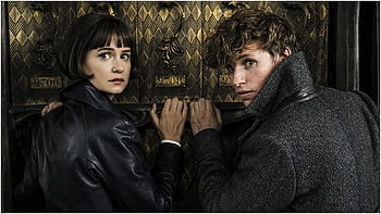 Fantastic Beasts, Release date, Cast plot, Harry Potter prequel HD wallpaper