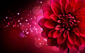 abstract08, design, abstract, fun, 3d, cool HD wallpaper