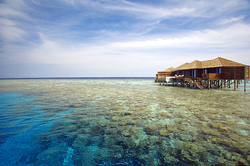 Nature, Tropics, Maldives, Bungalow HD wallpaper