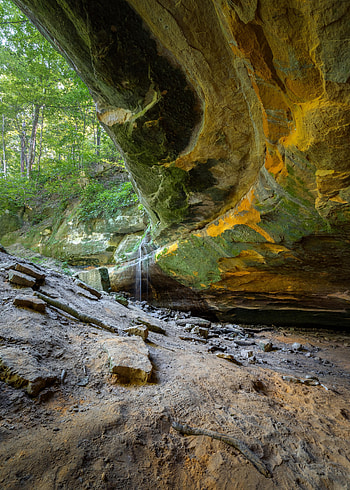 Nature, Stones, Rocks, Forest, Cave, Arch HD phone wallpaper