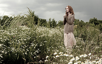 *** Walk through the thriving field ***, field, flower, nature, flowers, walk HD wallpaper