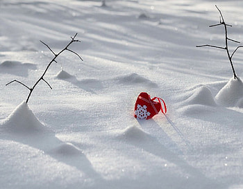 Winter heart, winter, peaceful, wonderful, shining, fog, mountains, gorgeous, other, cold, miracle, magnificent, travels, nature, whiter trees, splendor blue in winter, graphy, silent, frosty, xmas, mist, quiet, holiday, shine, amazing, winter time, greeting, frozen, beautiful, splendidly, seasons, celebration, christmas, cool, splendor, rivers HD wallpaper