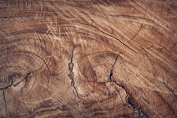 Close-up of a textured brown wooden surface showcasing natural patterns and grain details. HD wallpaper