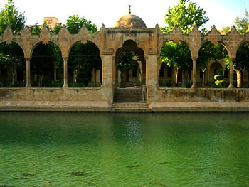 urfa the lake with holy fish turkey, turkey, holy, urfa, fish, lake HD wallpaper