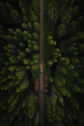 Nature, Trees, View From Above, Road, Forest, Car, Machine HD phone wallpaper