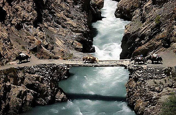 Bridge, river, water, animals HD wallpaper