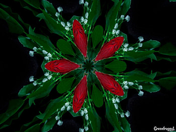 FLOWER KALEIDOSCOPE, FACTAL, FLOWER, KALEIDOSCOPE, ABSTRACT HD wallpaper
