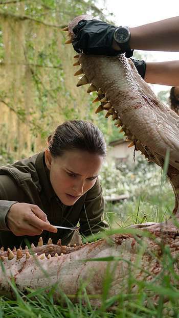 Annihilation, Mind-bending visuals, Natalie Portman's brilliance HD phone wallpaper