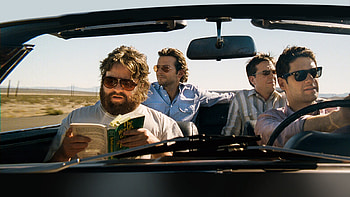 The Hangover, Movie , -perfect shots, Cinematic experience HD wallpaper