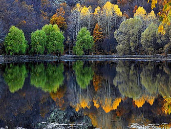 reflection, trees, colorful, lake HD wallpaper