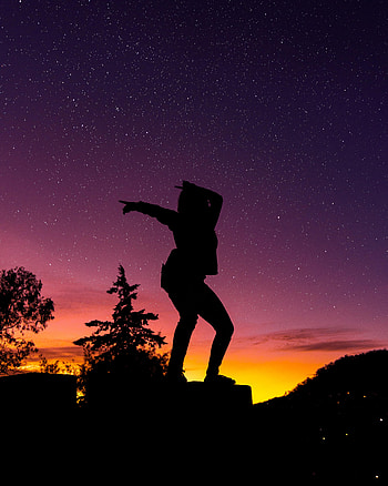 Dark, Silhouette, Starry Sky HD phone wallpaper