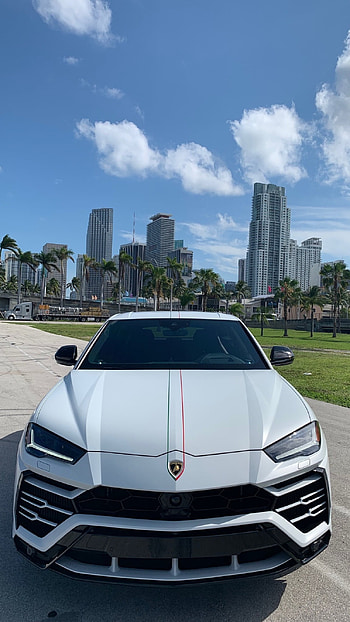 Lamborghini Urus, Lamborghini Urus White HD phone wallpaper