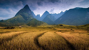 Mountains of Vietnam, Fansipan splendor, Nature's grandeur, Spectacular peaks HD wallpaper