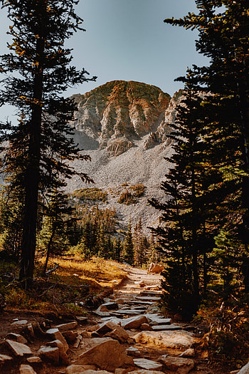 Nature, Trees, Stones, Rocks, Mountain, Fir, Spruce HD phone wallpaper