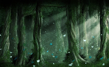 Magical Forest, cg, magical, green, nature, forest HD wallpaper