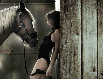 you are sexy, sexy, horses, women, girls HD wallpaper