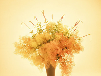 bouquet flowers, bouquet, beautiful, flowers, warm, wild HD wallpaper